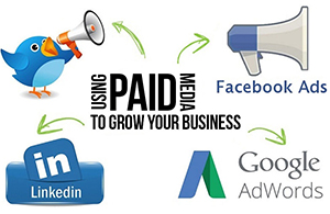 paid advertising services Tampa, Clearwater, Safety Harbor, Florida