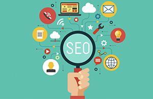 search engine optimization services Tampa, Clearwater, Safety Harbor Florida